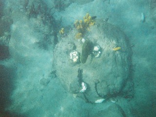 Sweet underwater things