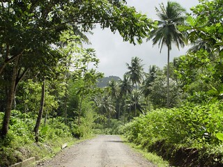 Leaving Jurassic Park