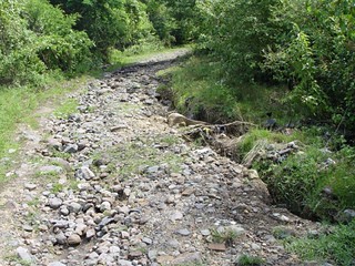 The trail down to the secluded beach