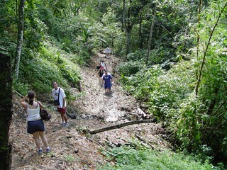 Hiking out of the forest