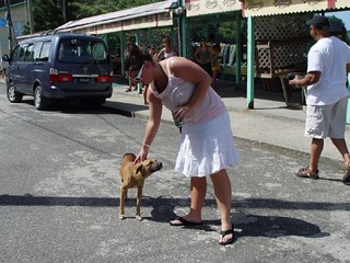 Kari petting a stray dog in Anse La Ray