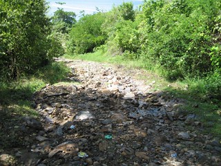 The trail leaving the beach.  Look at the ocean in the background to see how steep this was.
