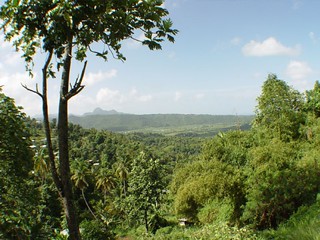 Overlooking a banana plantation from our vehicle