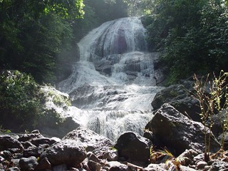 A cascading waterfall in the rainforest