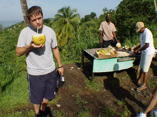 Drinks - drinking the juice from a coconut