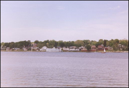 The view from the river house