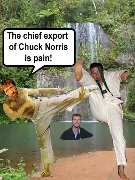 Chief export of Chuck Norris is Pain (by Trent)