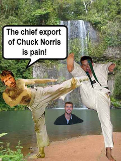 Chief export of Chuck Norris is Pain (by Trent)