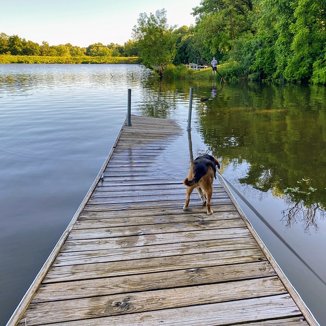 Little curious about this sinking dock