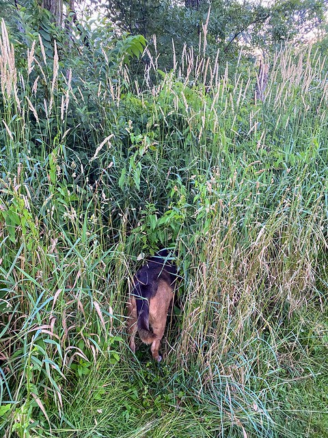 Somethin smells in here