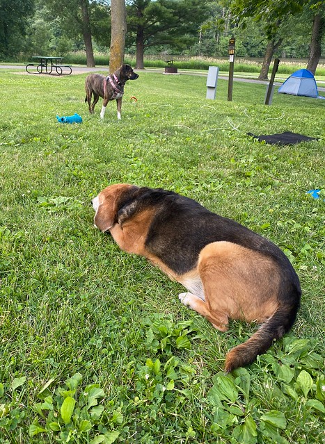 Old boye. Young girl.