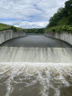 Covid-19 - Pine Lake Spillway