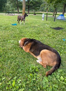 Covid-19 - Old boye. Young girl.