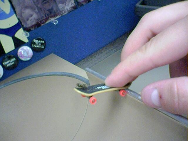 This was my pet fly for a couple hours.  His name is Frank.  He liked dropping in off my ramps.