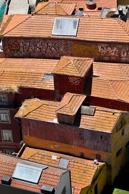 I liked the pixelated flower amongst these old roofs
