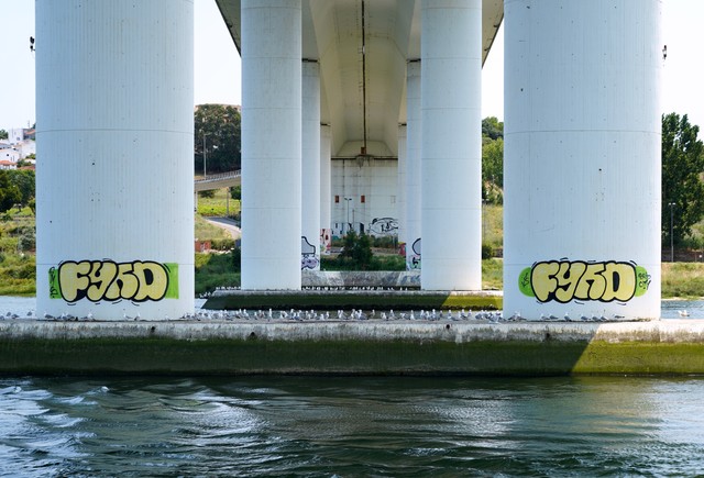 Under the Ponte do Freixo