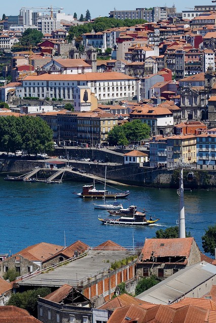 The Douro River