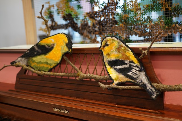 Gold Finches
