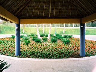 Drive-up to Viva Vallarta