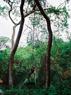 He just went sprinting toward this ravine, jumped out over it, and grabbed that vine.  I didn't t...