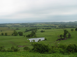 Illinois. From below the lookout tower