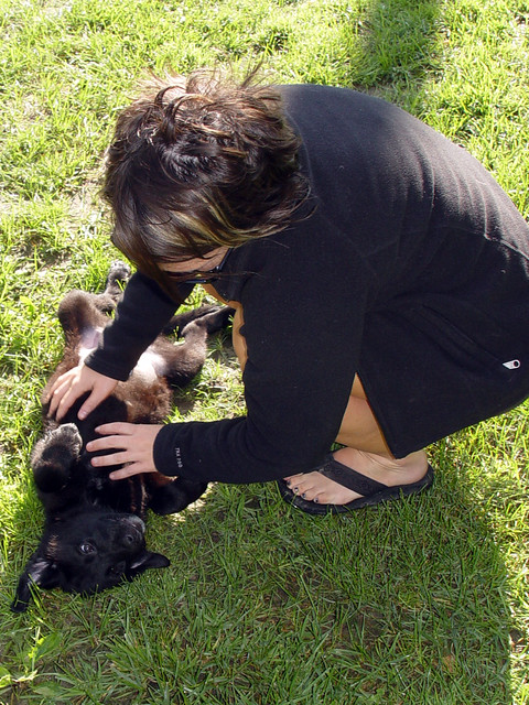 Kari and our neighbors newfoundland puppy, ollie.