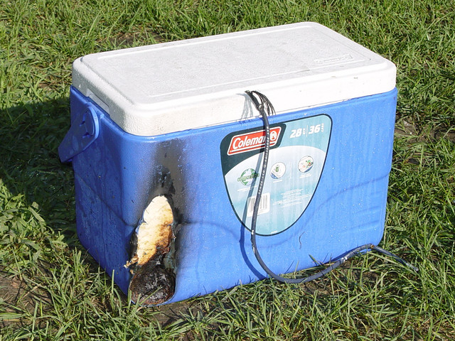 Citronella candle got too close and caught the cooler on fire.