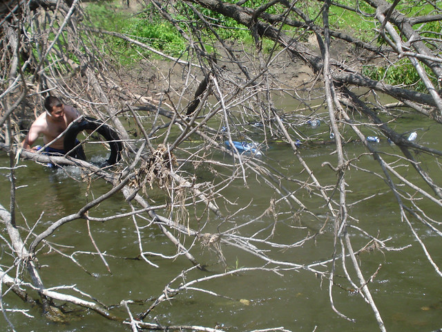 Garbage spill in the tree