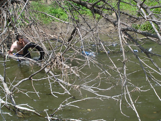 Chuck McGrane - Garbage spill in the tree