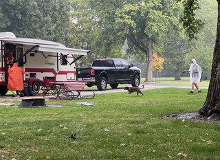 Gemma - A damp morning