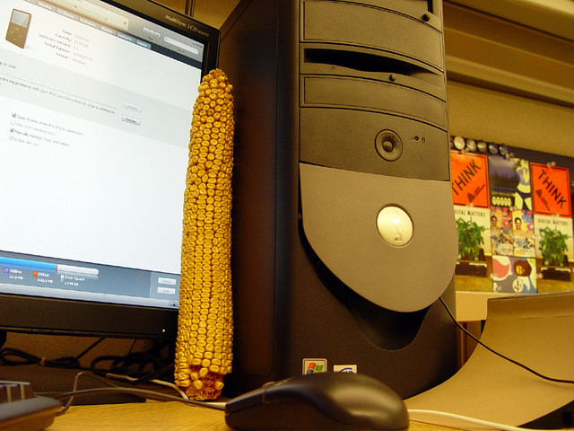 Seriously, that is some big corn