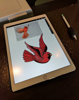 Tattoo - Bout to get this Cardinal tattooed on me.