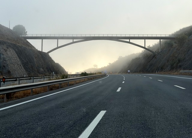 Foggy morning