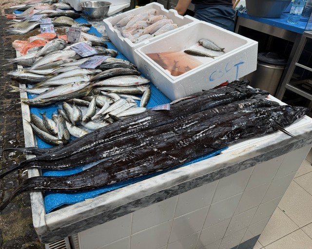 Black scabbardfish is wild looking!