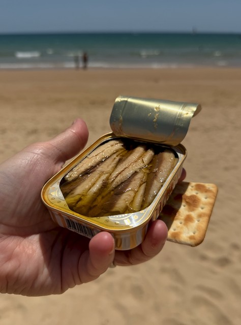 Amateur sardine time