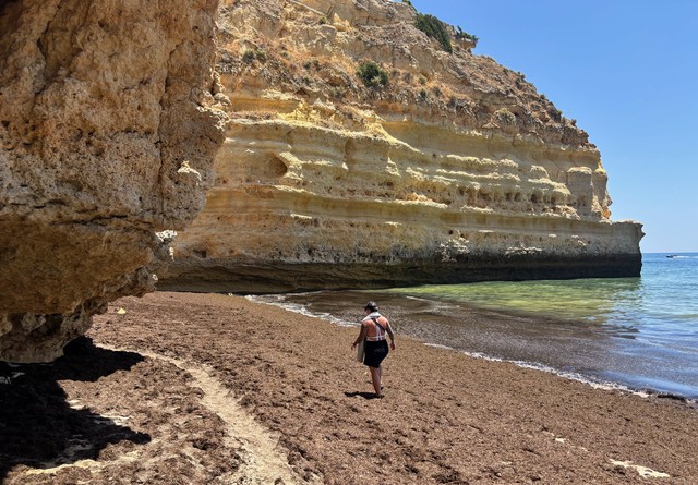 Walking over the seaweed to find another beach