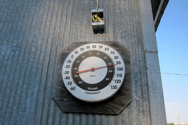 Angry Beaver Thermometer