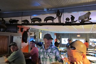 Taxidermy - Angry Beaver Taxidermy