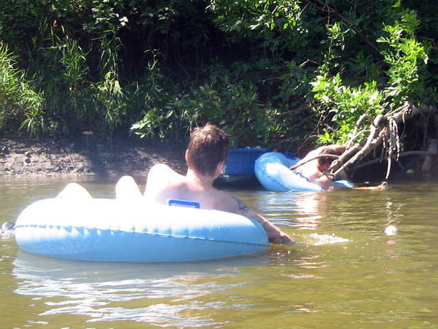 Chuck stuck in a tree