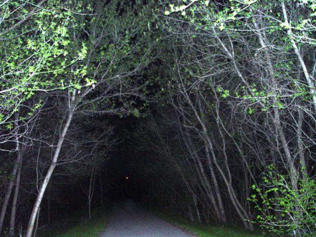 The newest chutes and ladders