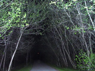 The newest chutes and ladders