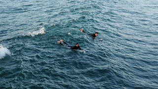 Surfer's in Ocean Beach