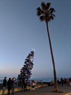 Sunset - Some leanin trees