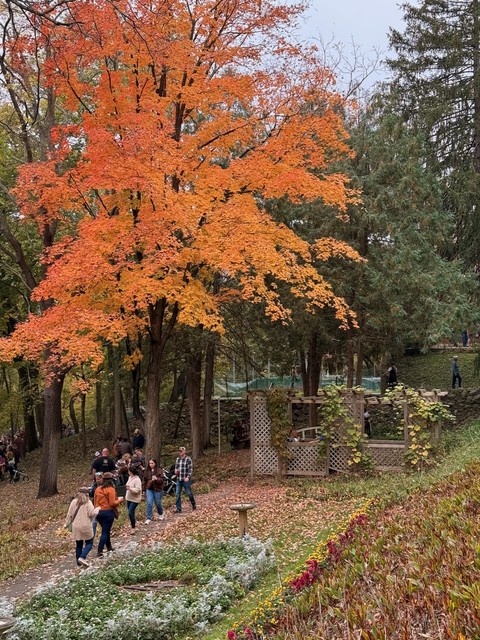 Walkin up to the spot