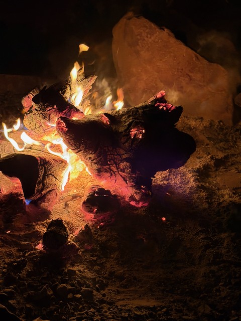 This log turned into pig head