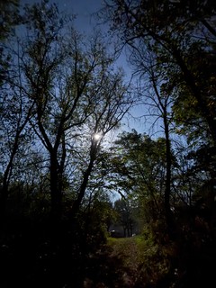 Travel - Bright sky at bedtime