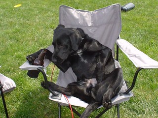 Ninja getting wasted