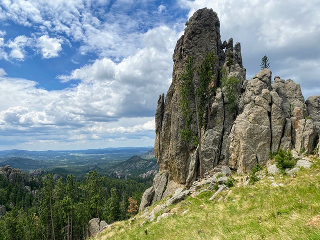 The views off of Needles highway are wild