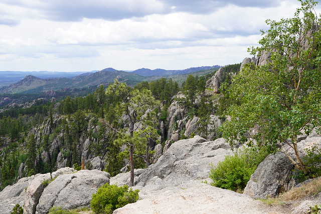 Lookin out from Needles highway