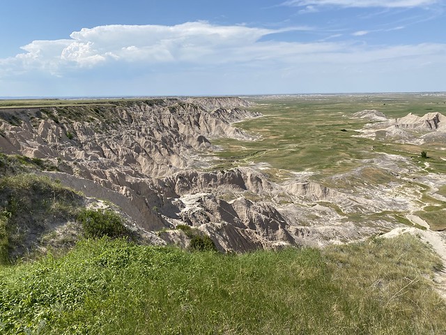 Well this a pretty good view